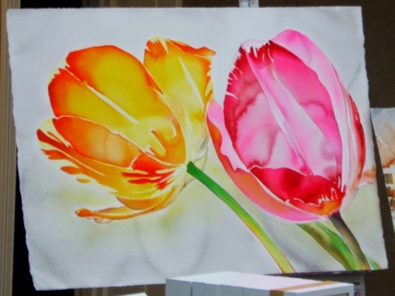 Watercolor of a mature orange tulip and a blooming pink tulip